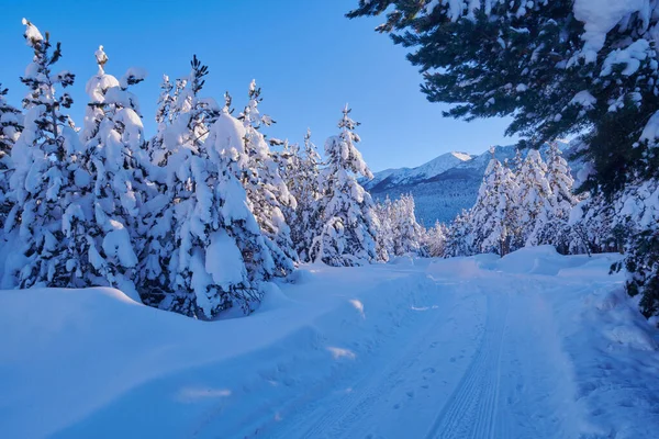 新雪に覆われた森と山で冬の日の出 — ストック写真