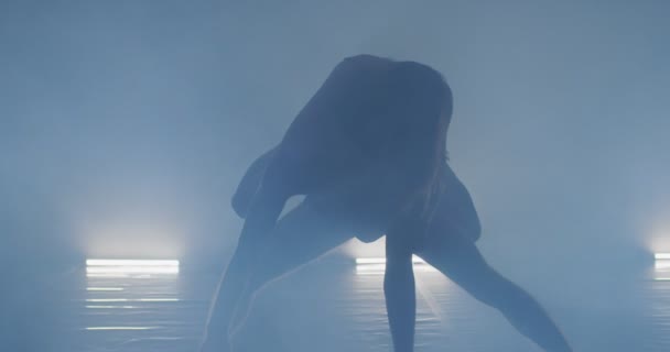 Nowoczesny i stylowy taniec baletowy artystów w klasie tańca wykonywania sztuki tańca współczesnego — Wideo stockowe