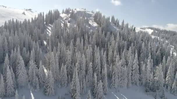 Journée ensoleillée d'hiver avec neige fraîche dans la station de ski — Video