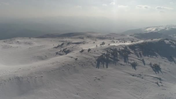 Vista aérea de un bosque congelado con árboles cubiertos de nieve fresca — Vídeos de Stock