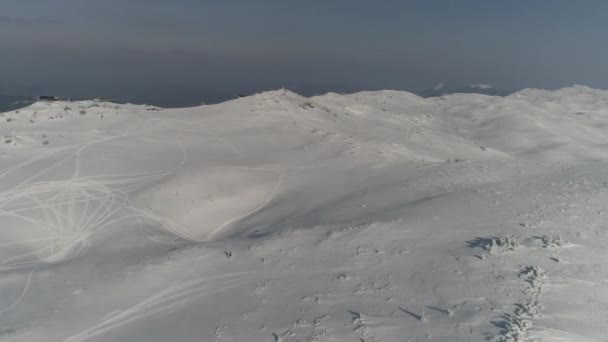 Vista aérea de un bosque congelado con árboles cubiertos de nieve fresca — Vídeos de Stock