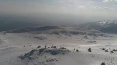 Taze karla kaplı donmuş bir ormanın havadan görünüşü. 