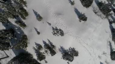 Güneşli kış günü, kayak merkezinde taze kar var.