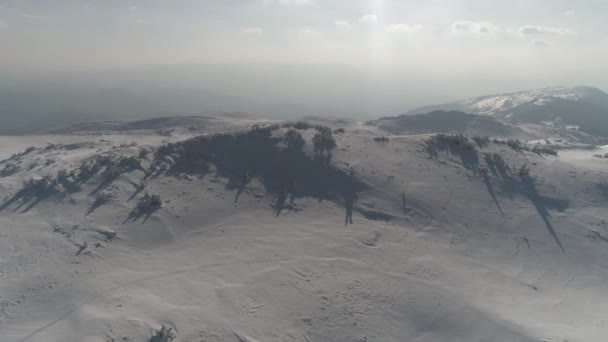 Vue aérienne d'une forêt gelée avec des arbres recouverts de neige fraîche — Video