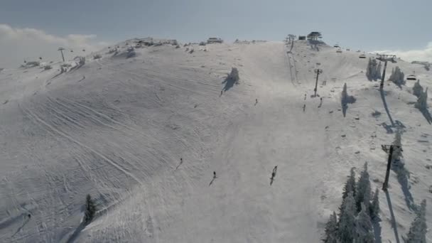 Uitzicht vanuit de lucht op een bevroren bos met verse besneeuwde bomen — Stockvideo