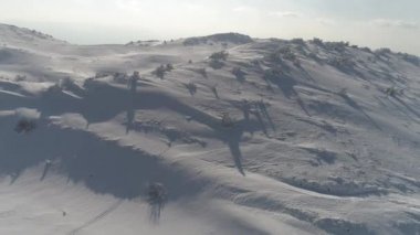 Taze karla kaplı donmuş bir ormanın havadan görünüşü. 