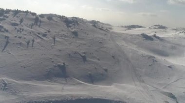 Taze karla kaplı donmuş bir ormanın havadan görünüşü. 