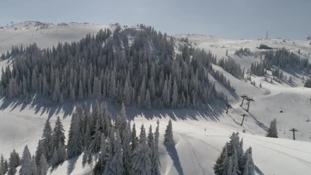 Вид с воздуха на замерзший лес со свежими заснеженными деревьями — стоковое видео