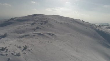Taze karla kaplı donmuş bir ormanın havadan görünüşü. 