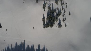 Taze karla kaplı donmuş bir ormanın havadan görünüşü. 