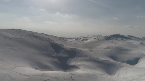 Vue aérienne d'une forêt gelée avec des arbres recouverts de neige fraîche — Video