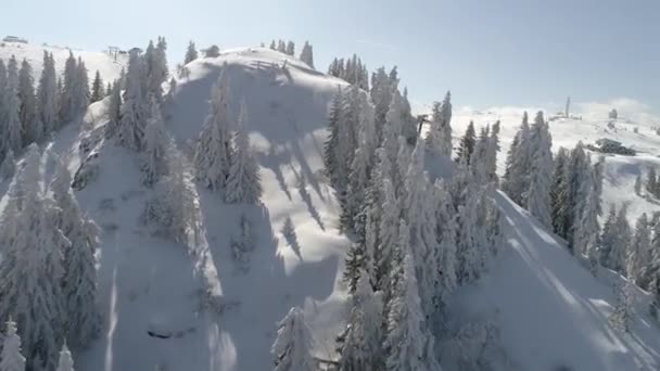 Sunny winter day with fresh snow in ski resort — Stock Video