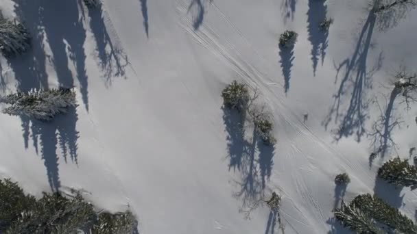 Солнечный зимний день со свежим снегом на горнолыжном курорте — стоковое видео