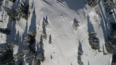 Taze karla kaplı donmuş bir ormanın havadan görünüşü. 