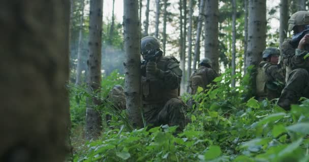 Солдати, які тримають гвинтівки в засідці в густих лісах вдень, захищаючи базу з повною тактичною командою — стокове відео