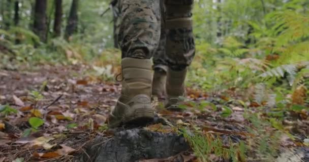 W pełni wyposażeni żołnierze w mundur maskujący i poruszający się po gęstym lesie podczas akcji wojskowej — Wideo stockowe