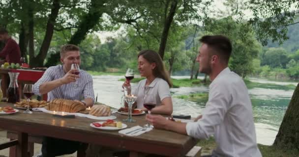Skupina šťastných přátel připíjet červené víno sklo při piknik francouzská večeře party venkovní během letní dovolené v blízkosti řeky v krásné přírodě — Stock video