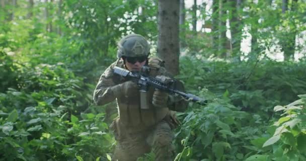 Portrait of soldier in uniform in dense forest ready for military action — Stock Video