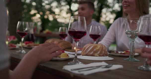 Ung grupp människor som har vin bredvid floden på landsbygden — Stockvideo