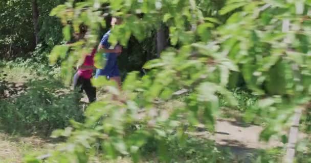 Пара наслаждаясь здоровым образом жизни во время пробежки по проселочной дороге через красивый солнечный лес — стоковое видео