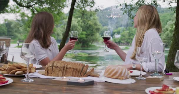 Gruppe von Freunden grillt in der Natur, trinkt Wein mit Feuerwerk im Hintergrund — Stockvideo