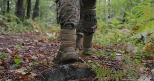 Katonai fellépés sűrű erdőkben — Stock videók
