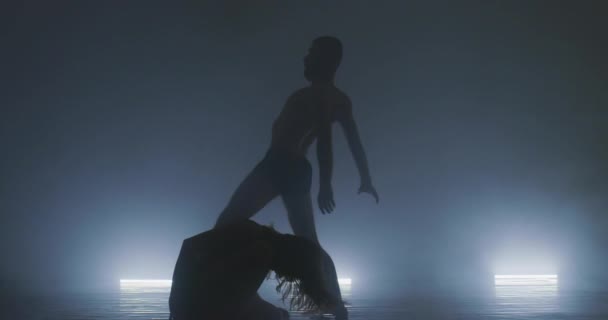 Silhouette of group dancers of contemporary ballet, ow key — Stock Video