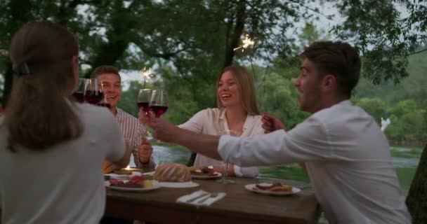 Concepto de amistad juvenil - Manos brindar copa de vino tinto al lado del río en la noche — Vídeo de stock