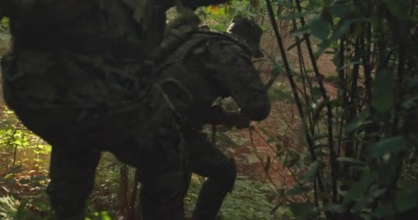 Żołnierze w dymie poruszający się w operacji bojowej przez gęsty las — Wideo stockowe