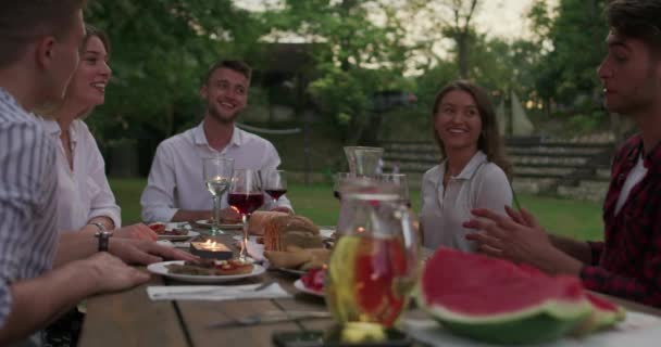 Gente feliz divirtiéndose en un picnic en el campo — Vídeo de stock