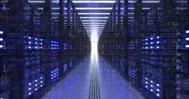 Компьютерные стойки центра обработки данных в серверной сети Cryptocurrency Mining — стоковое видео