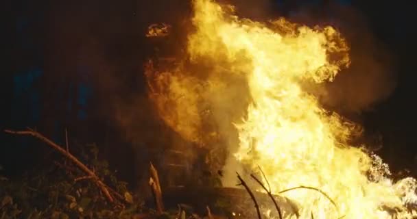 Soldats des unités spéciales d'élite dans la forêt la nuit — Video