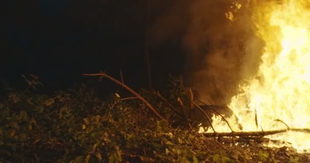 Pompier avec équipement de sécurité et hache éteignant le feu dans la forêt la nuit — Video