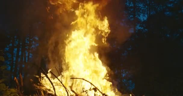 Fire fighter with safety equipment and axe extinguishing fire in forest at night — Stock Video