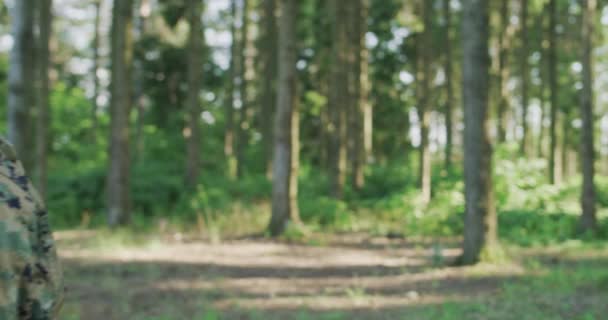 Solidaires protégeant leur ligne dans une forêt dense. Action militaire de sauvegarde et de protection des bases forestières — Video