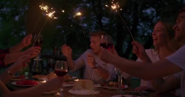 Concepto de amistad juvenil - Manos brindar copa de vino tinto al lado del río en la noche — Vídeo de stock