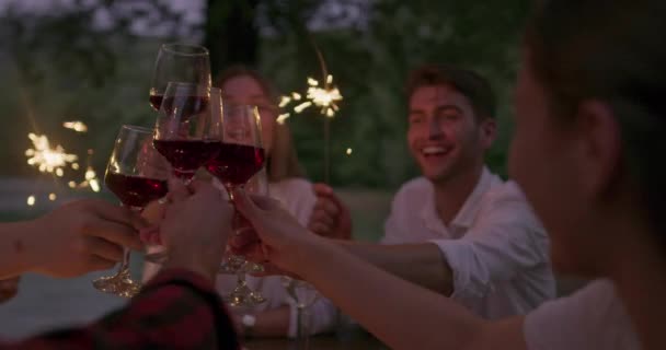 Conceito de amizade juvenil - Mãos brindando copo de vinho tinto ao lado do rio à noite — Vídeo de Stock