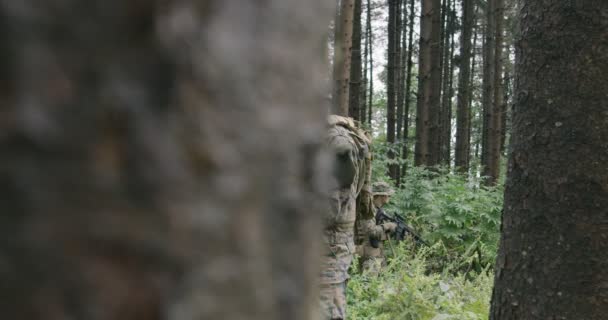 Сучасний Солдат Рушницею Густому Лісі Димом Задньому Плані — стокове відео