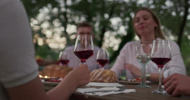 夏休みにピクニックフランスディナーパーティーを屋外で開催しながら 幸せな友人のグループは赤ワイングラスを試飲 — ストック動画