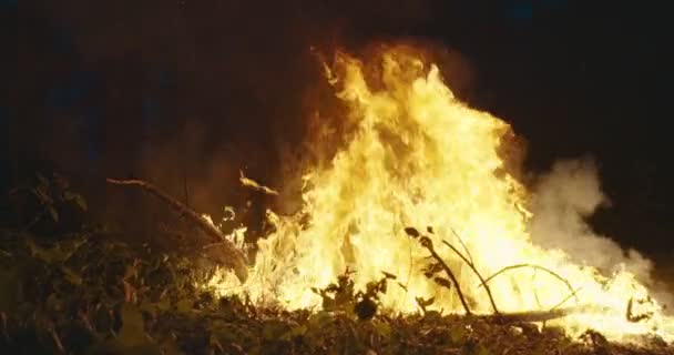 Pompier avec équipement de sécurité et hache éteignant le feu dans la forêt la nuit — Video