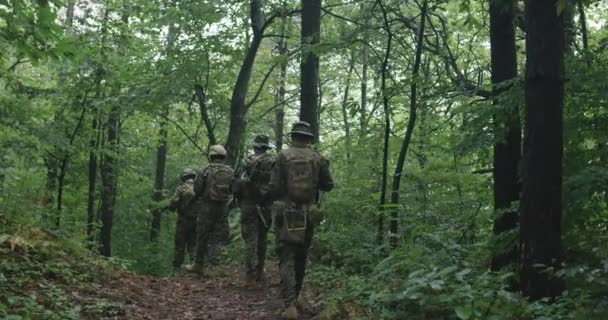 濃密な森を移動する偵察ミッションにカモフラージュの完全装備の兵士 — ストック動画