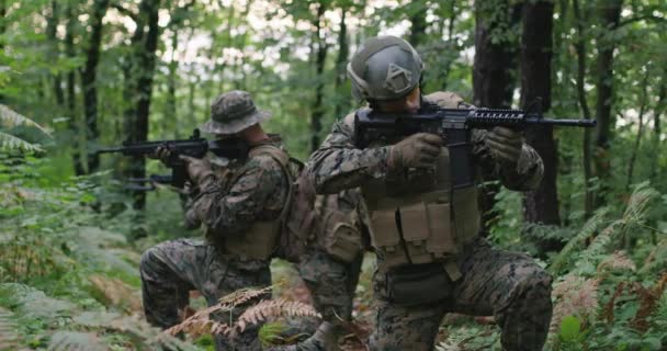 Tentara Dalam Asap Bergerak Dalam Pertempuran Operasi Hutan Lebat Thorugh — Stok Video