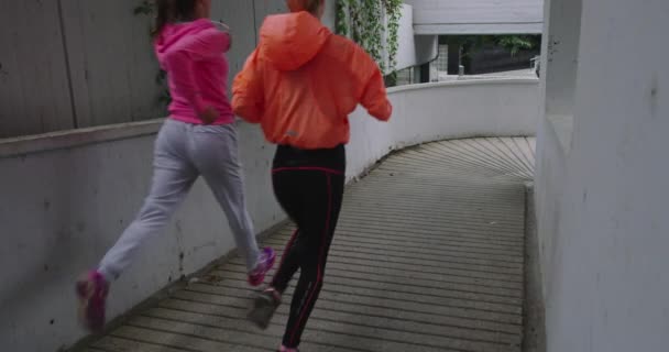 Bela Paisagem Duas Joggers Femininas Que Prosseguem Sua Atividade Livre — Vídeo de Stock