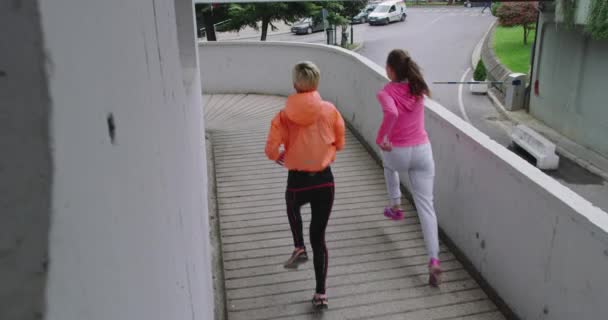 Bela Paisagem Duas Joggers Femininas Que Prosseguem Sua Atividade Livre — Vídeo de Stock