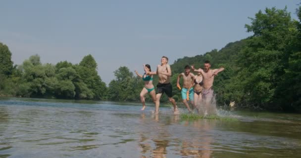 Slow Motion Sommaren Glädje Grupp Glada Vänner Att Kul När — Stockvideo