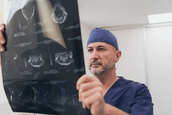 Orthopäde untersucht Röntgenbild im Krankenhaus oder in der Klinik — Stockfoto