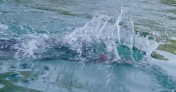 Triatlon Sporcusu Yüzme Antrenmanı Triatlon Yarışmasına Hazırlanıyor Açık Altında Triatlon — Stok video