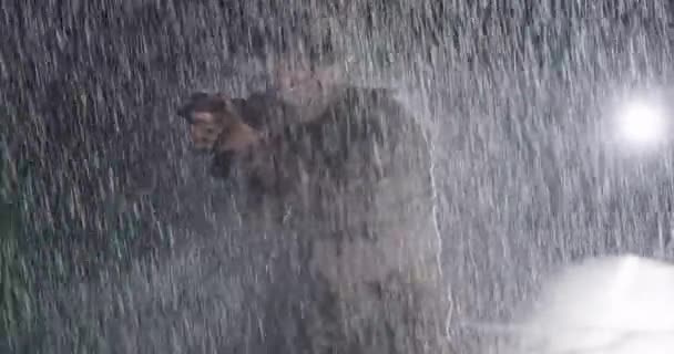 Gros Plan Fortes Gouttes Pluie Sur Soldat Camouflage Nuit Prenant — Video