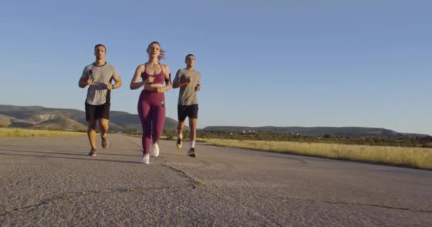 Grupo Multiétnico Atletas Corriendo Juntos Una Carretera Panorámica Del Campo — Vídeos de Stock