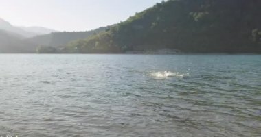 Dalgıç kıyafetli profesyonel triatlon sporcusu demir adam yarışması için yüzme antrenmanına bir gölün su sıçratan sularında koşup zıplayarak başlıyor. Yavaş çekim izleme çekimi. 